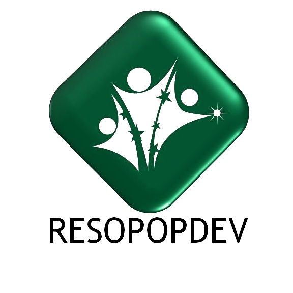 logo resopopdev transparent